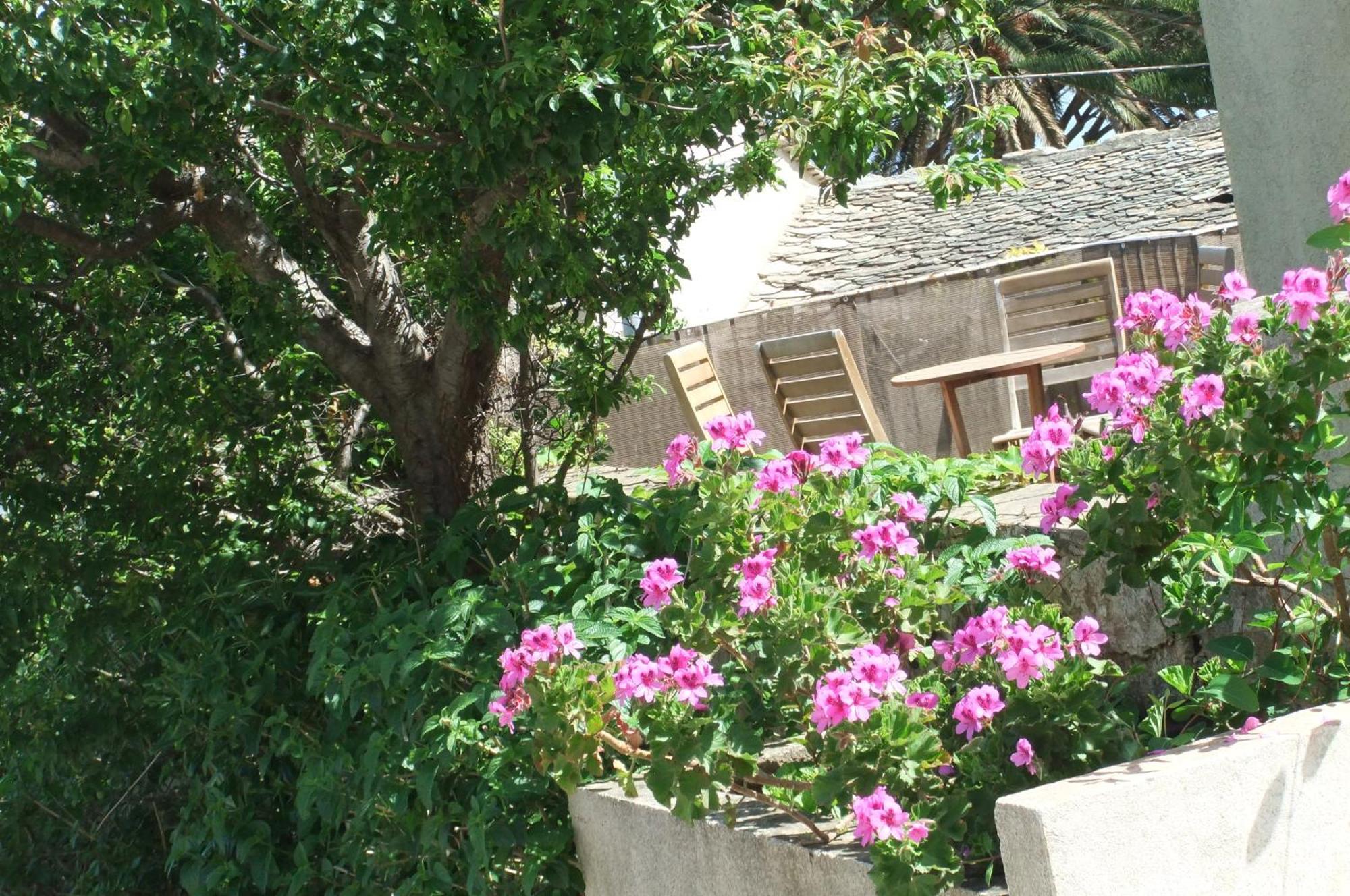 Hôtel restaurant U.Pozzu Sisco Exterior foto